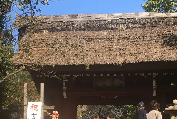 深大寺の写真・動画_image_682410