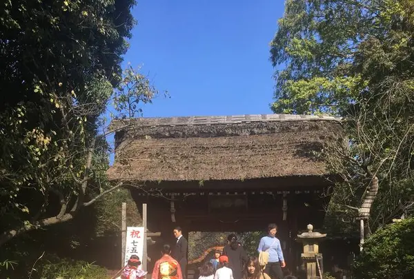 深大寺の写真・動画_image_682413