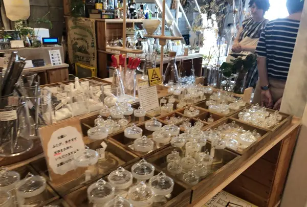 リカシツの写真・動画_image_682419