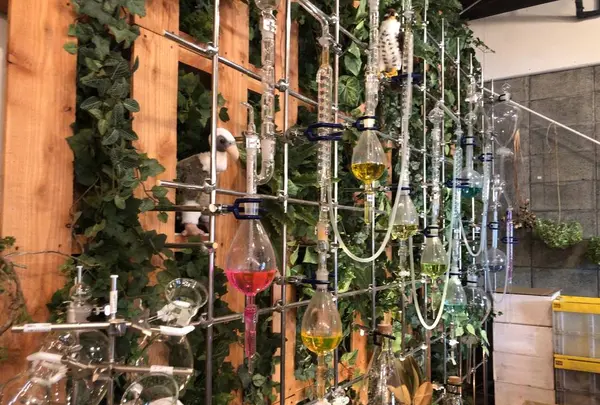 リカシツの写真・動画_image_682420