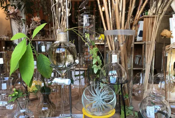 リカシツの写真・動画_image_682421