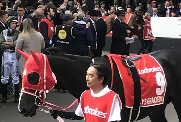 ムーニーヴァレー競馬場の写真・動画_image_683360