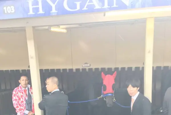ムーニーヴァレー競馬場の写真・動画_image_683361