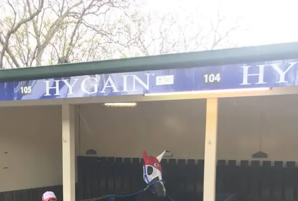 ムーニーヴァレー競馬場の写真・動画_image_683362