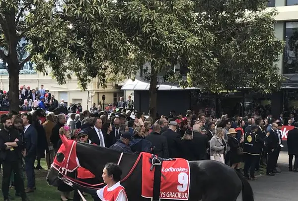 ムーニーヴァレー競馬場の写真・動画_image_683366