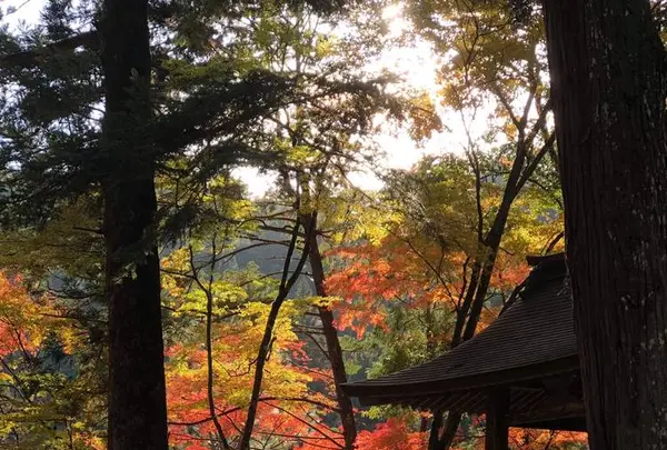 高蔵寺の写真・動画_image_683444