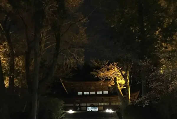 三井寺の写真・動画_image_683465