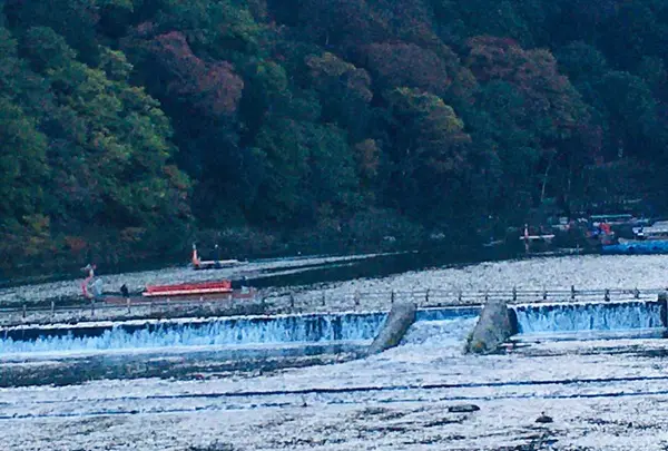 渡月橋の写真・動画_image_683581