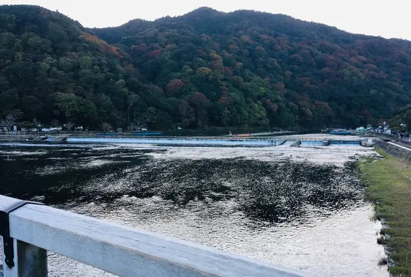 渡月橋の写真・動画_image_683585