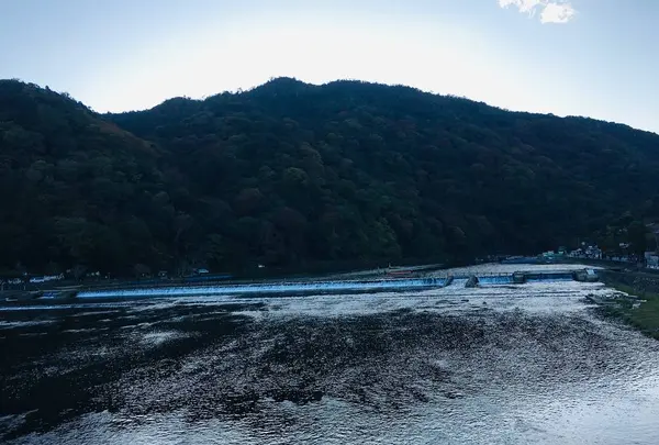 渡月橋の写真・動画_image_683586