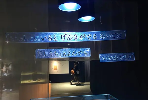 海遊館の写真・動画_image_683598