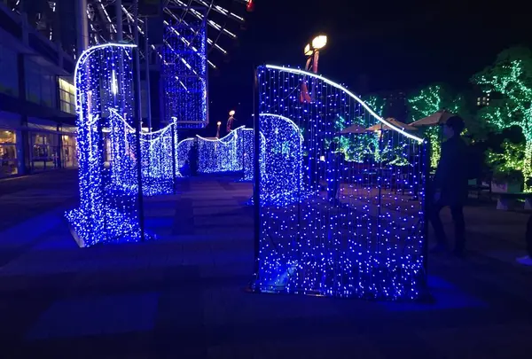 海遊館の写真・動画_image_683602