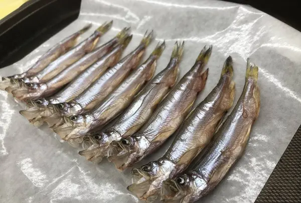 カネダイ大野商店の写真・動画_image_684727