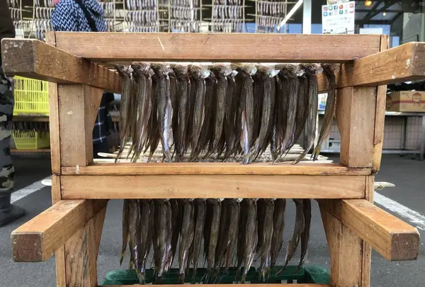 カネダイ大野商店の写真・動画_image_684728