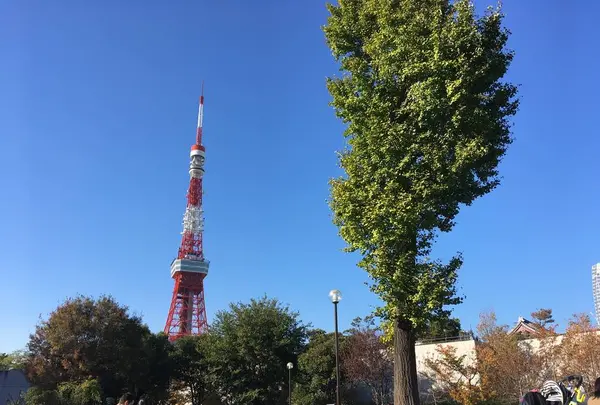 芝公園の写真・動画_image_684845