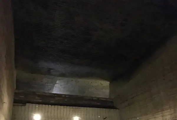 大谷石採石場跡・大谷資料館の写真・動画_image_685636