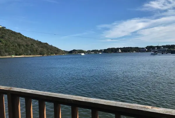 舘山寺園の写真・動画_image_685786