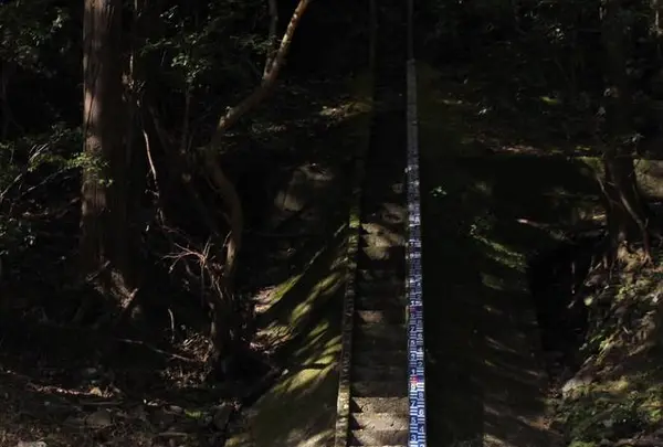 保津川下りの写真・動画_image_685844