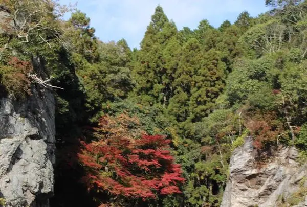 保津川下りの写真・動画_image_685845