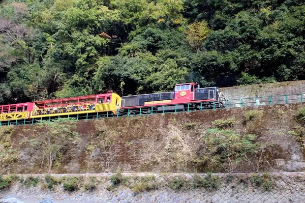 保津川下りの写真・動画_image_685847