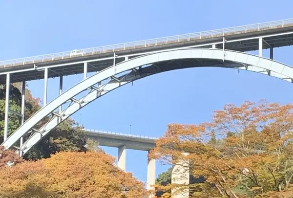 高千穂峡の写真・動画_image_687395