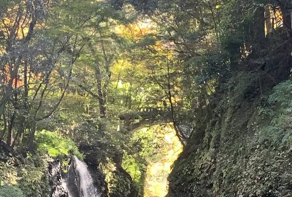高千穂峡の写真・動画_image_687396