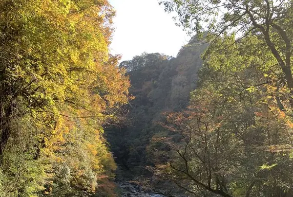 高千穂峡の写真・動画_image_687397