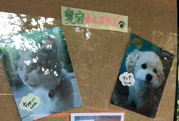 愛宕神社の写真・動画_image_687578