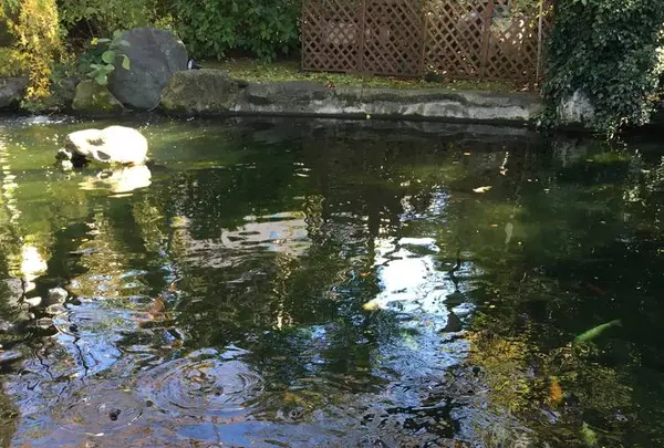 愛宕神社の写真・動画_image_687580