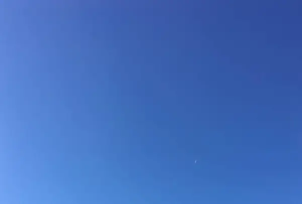 芝公園の写真・動画_image_687587