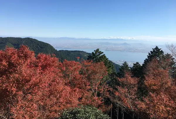 比叡山ドライブウェイの写真・動画_image_688521