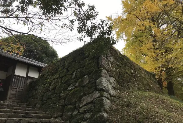 秋月城跡の写真・動画_image_688673