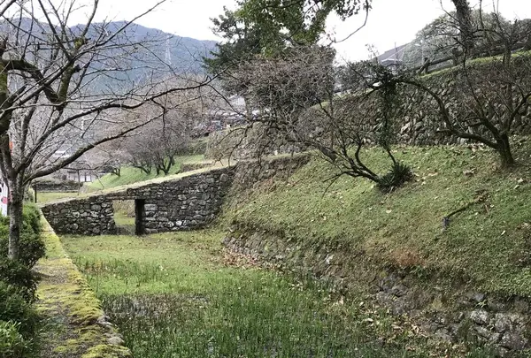 秋月城跡の写真・動画_image_688674