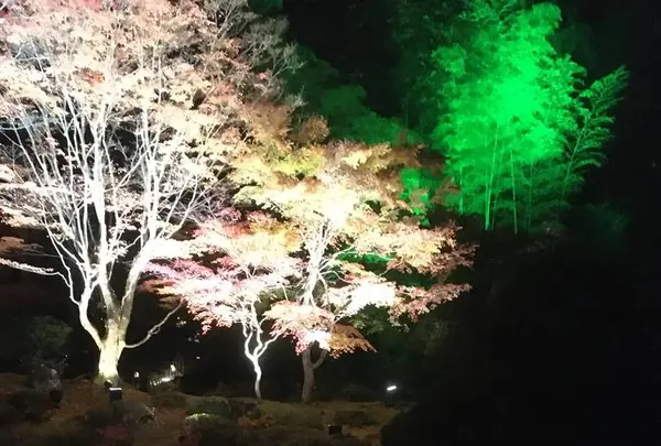 円通院の写真・動画_image_688734