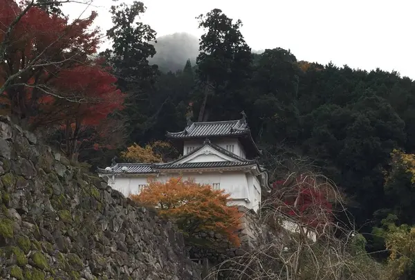 出石城下町の写真・動画_image_688970
