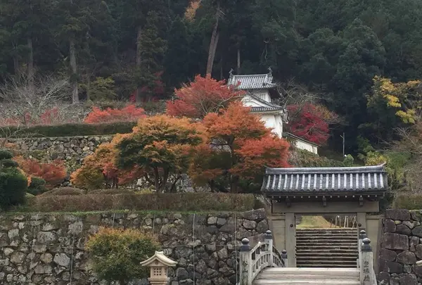 出石城下町の写真・動画_image_688971