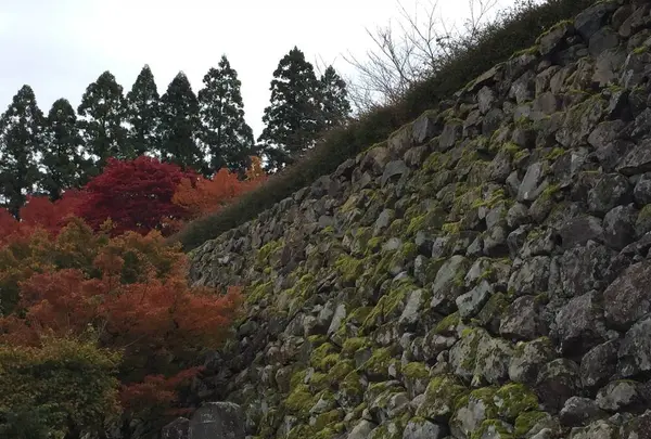 出石城下町の写真・動画_image_688972