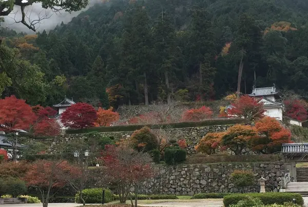 出石城下町の写真・動画_image_688973