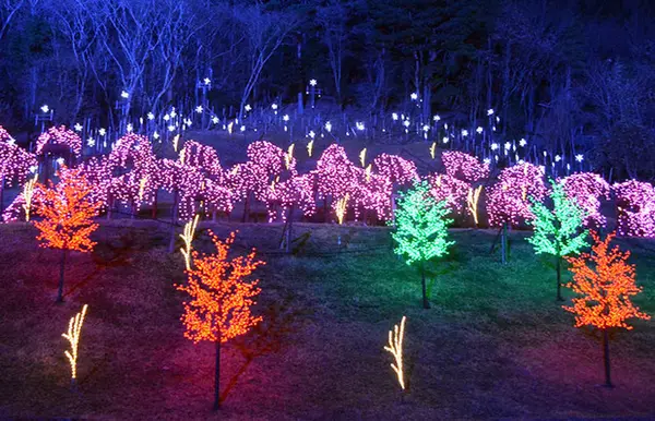 メナード青山リゾートの写真・動画_image_689286