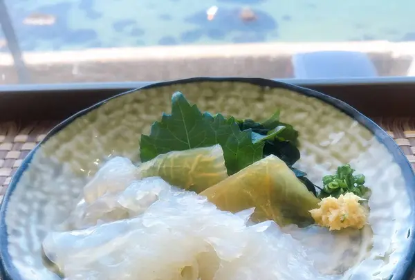 鶴岡市立加茂水族館（クラゲドリーム館）の写真・動画_image_691488