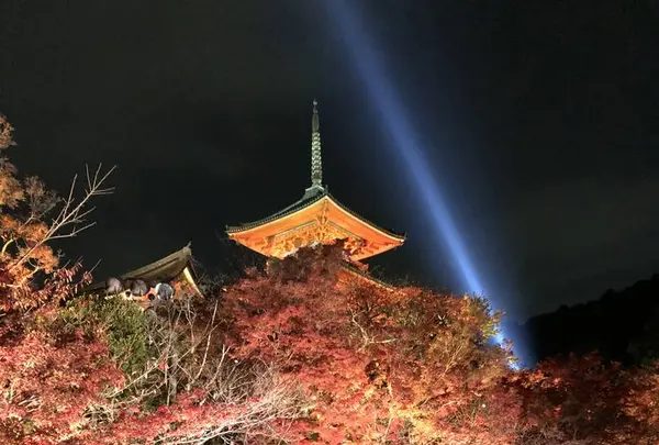 京都の写真・動画_image_691898
