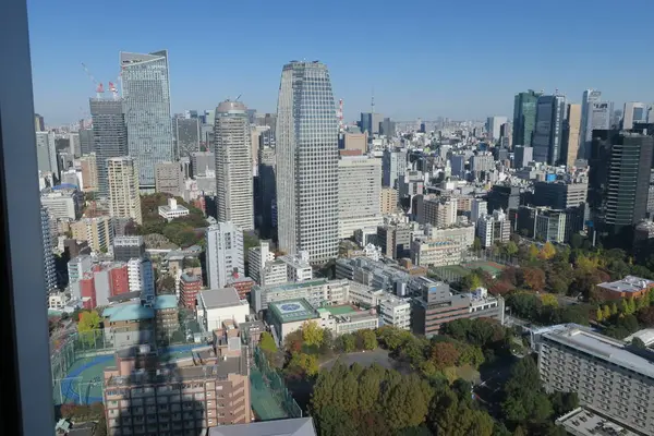 東京タワーの写真・動画_image_692103
