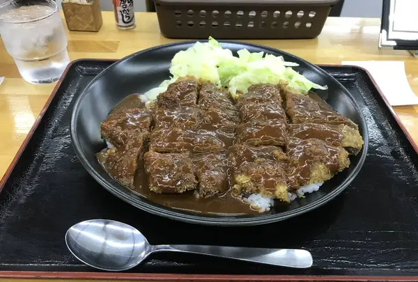 本家かつめし亭の写真・動画_image_693178