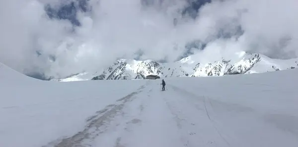 みくりが池の写真・動画_image_693820