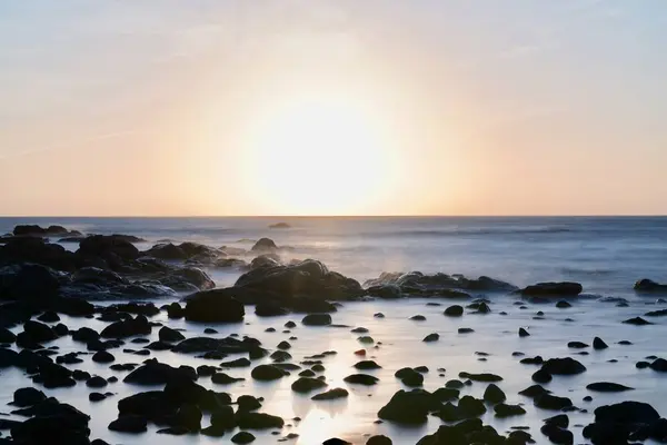 しんうおのめ海水浴場の写真・動画_image_694053