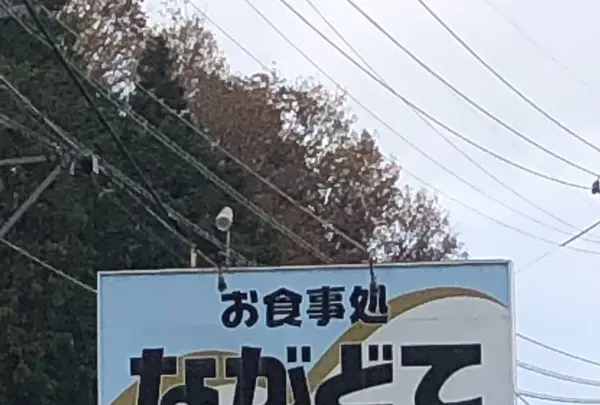 お食事処 ながどての写真・動画_image_694515