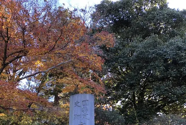 唐沢山城跡の写真・動画_image_694829