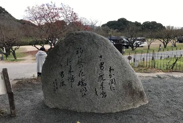 坂本八幡宮の写真・動画_image_695859