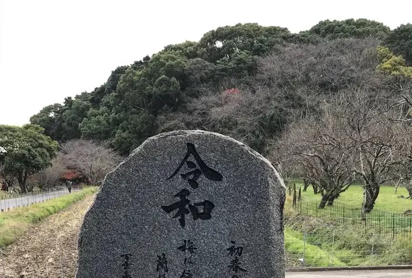 坂本八幡宮の写真・動画_image_695860