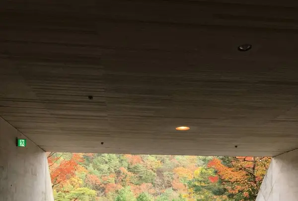 ミホミュージアム（バス）の写真・動画_image_697415